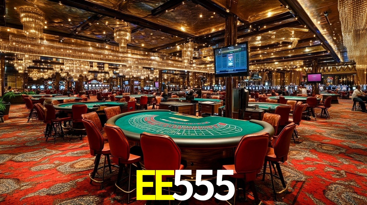 EE555 visual 2