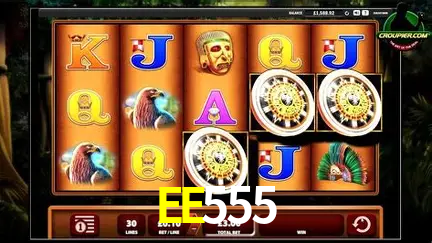 EE555 download
