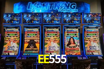EE555 Win