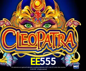 EE555 ajuda online — chat de suporte no aplicativo oficial
